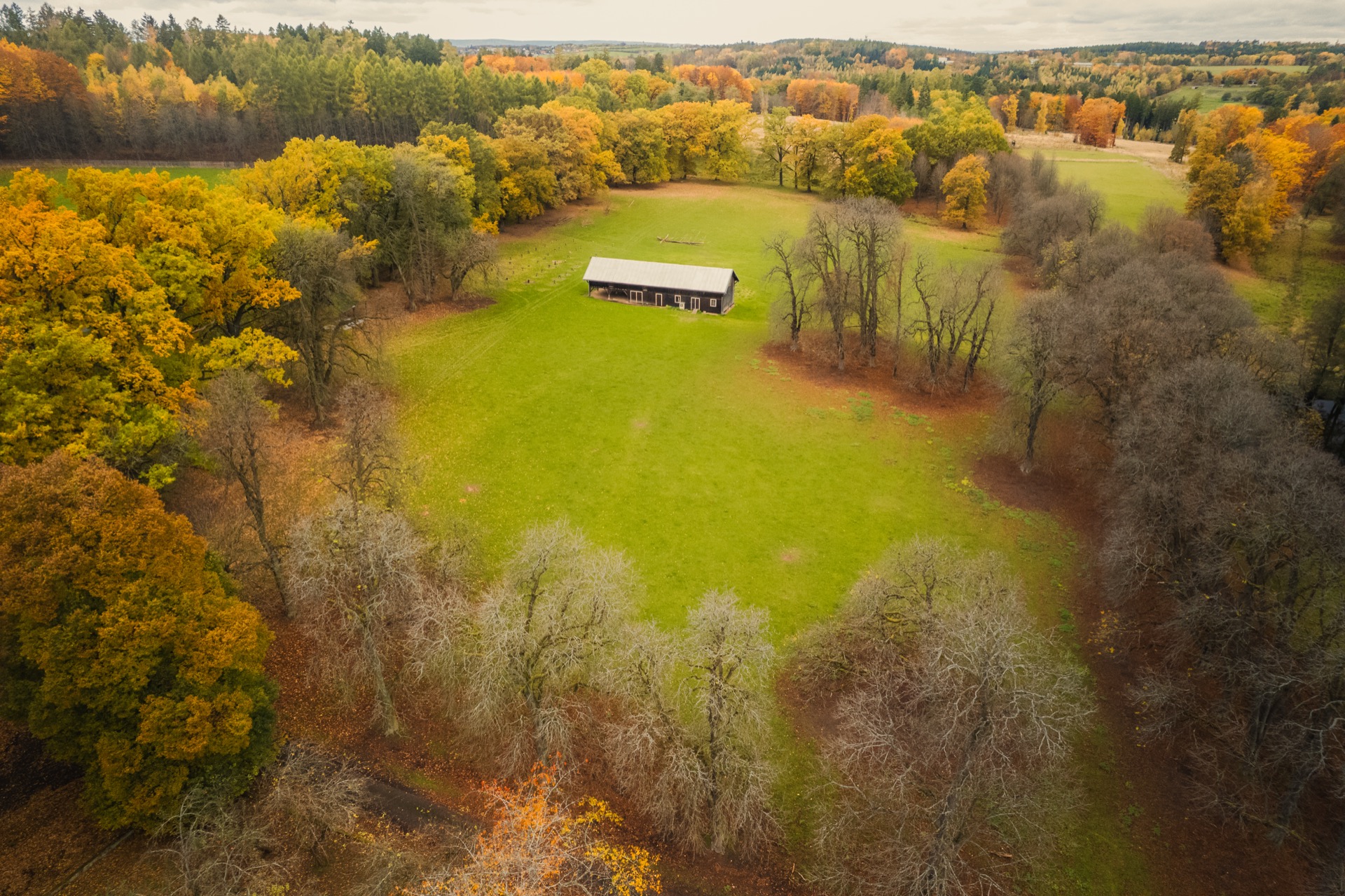 Premium hunting lodge near Prague