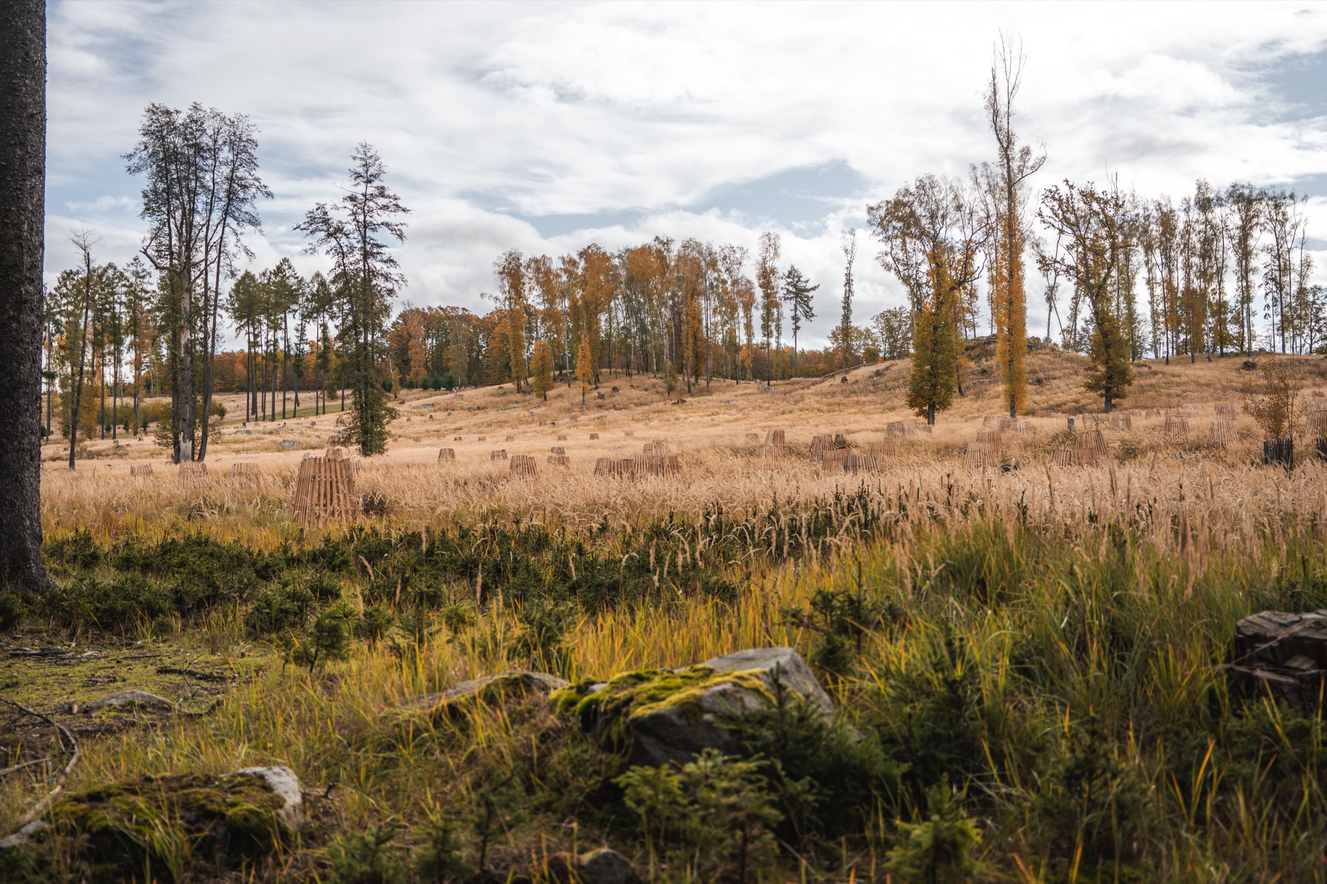 Game reserve lodge Czech Republic